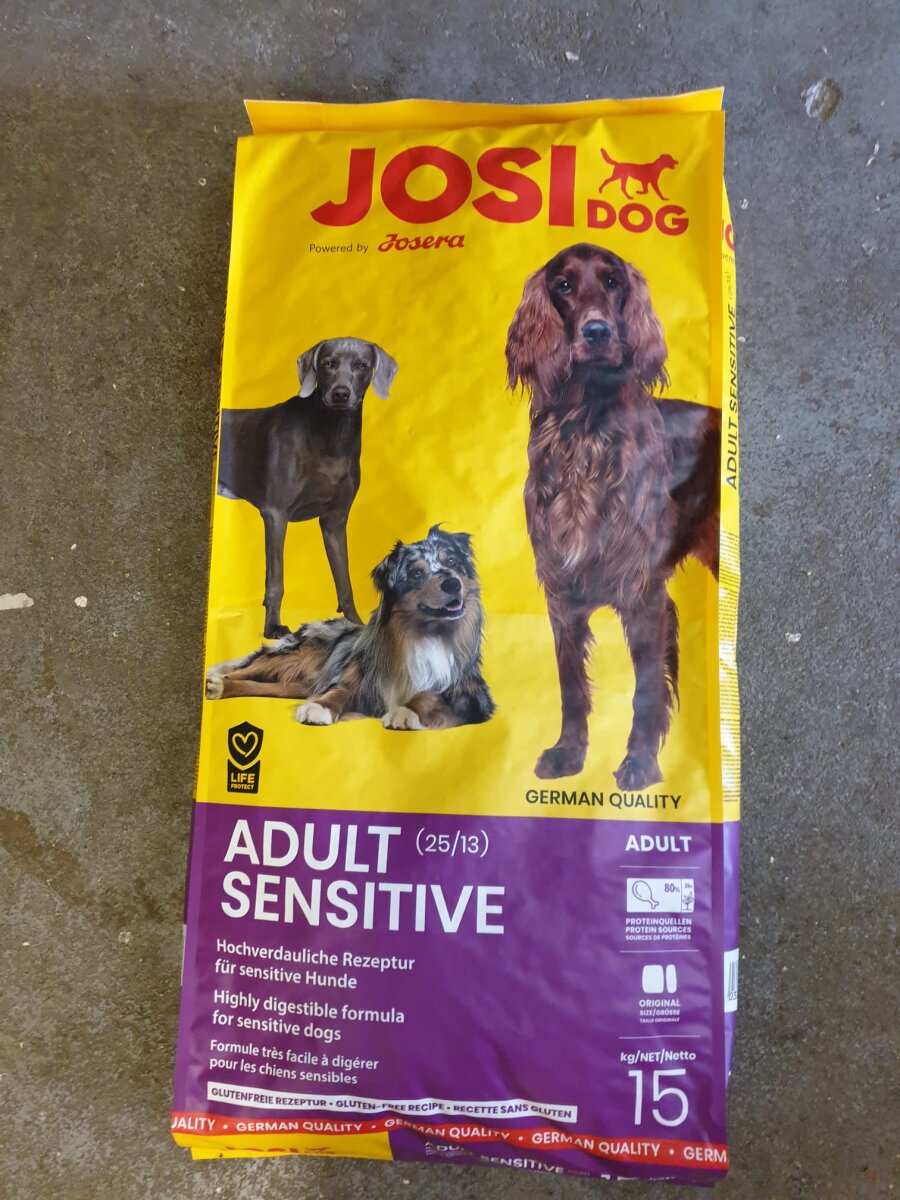 hundespielzeug kong KONG